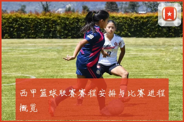 西甲篮球联赛赛程安排与比赛进程概览