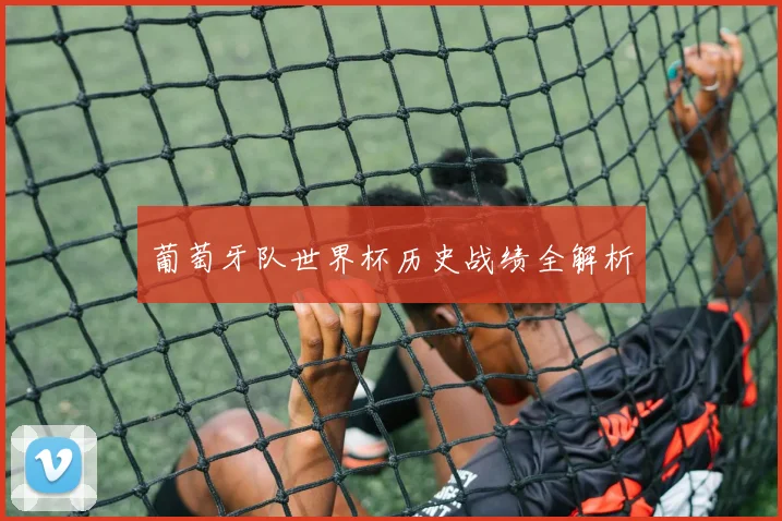 葡萄牙队世界杯历史战绩全解析